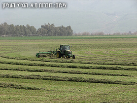 כפר הנשיא