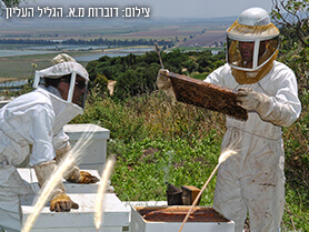 כפר סאלד