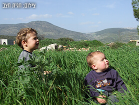 בתי ספר