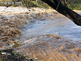 כפר בלום