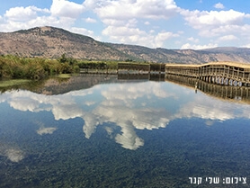 מלגת מועצה 2017