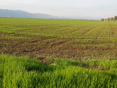 שנת בצורת בגליל העליון. צילום: דוברת מ.א. הגליל העליון