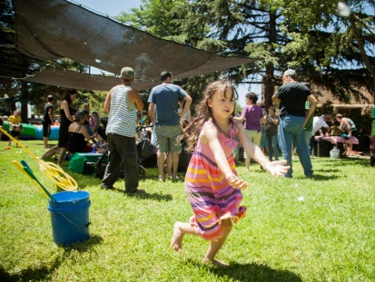 קליטה במנרה. צילום: דוברות מ.א. הגליל העליון